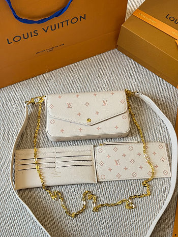 Colestore Louis Vuitton Pochette Félicie 21cm