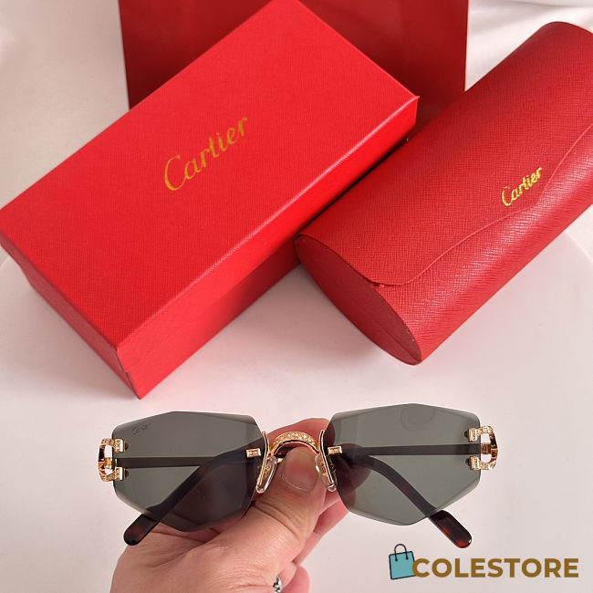 Colestore Cartier Sunglasses 25 - 1