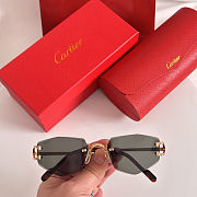 Colestore Cartier Sunglasses 25 - 1