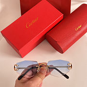 Colestore Cartier Sunglasses 25 - 4