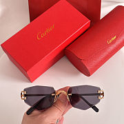 Colestore Cartier Sunglasses 25 - 3