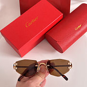 Colestore Cartier Sunglasses 25 - 2