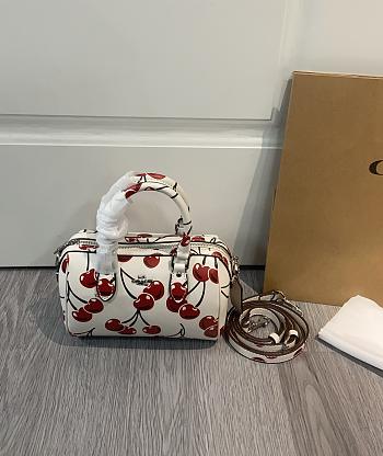 Colestore Coach Mini Rowan Crossbody Bag With Cherry Print 18x14x8cm