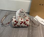 Colestore Coach Mini Rowan Crossbody Bag With Cherry Print 18x14x8cm - 6