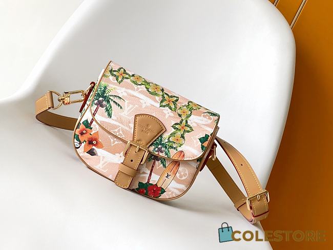 Colestore Louis Vuitton Montsouris Messenger PM 20x17x7cm - 1