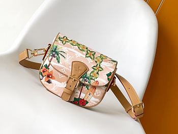 Colestore Louis Vuitton Montsouris Messenger PM 20x17x7cm