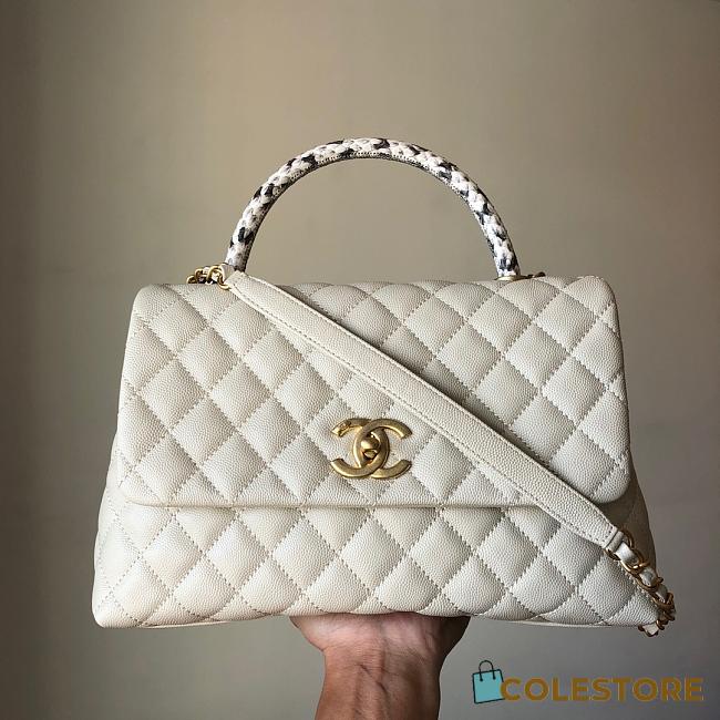 Colestore Chanel Mini Coco Handle Bag in White 28cm - 1