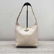 Colestore Chanel Shiny Lambskin Quilted Hobo Beige 27x23x21cm - 1
