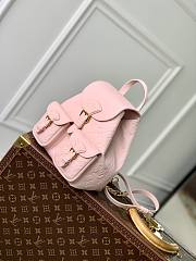 Colestore Louis Vuitton Backup Pink 20x22x14cm - 3
