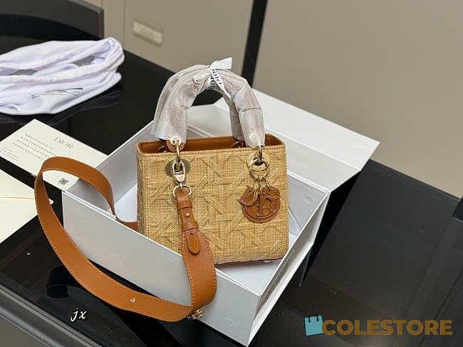 Colestore Dior Lady Dior Bag Natural Cannage Raffia 21cm - 1