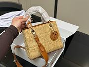 Colestore Dior Lady Dior Bag Natural Cannage Raffia 21cm - 2