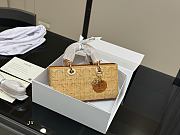 Colestore Dior Lady D-joy Handbag Lady DR Straw Bag 26cm - 3