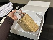 Colestore Dior Lady D-joy Handbag Lady DR Straw Bag 26cm - 2