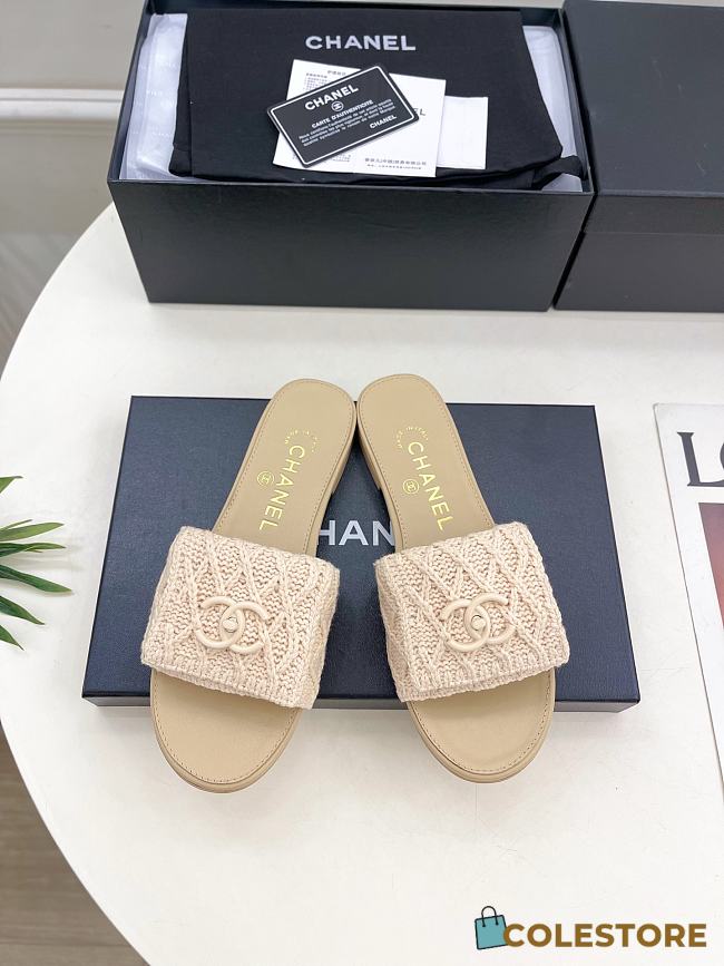 Colestore Chanel Flat Mule Natural Raffia  - 1
