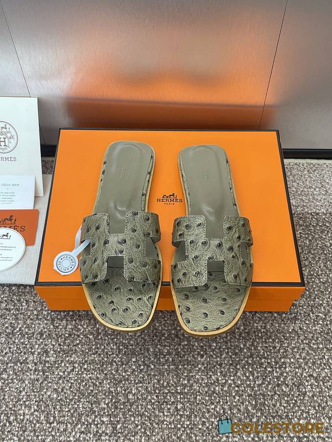 Colestore Hermes Oran sandal Loden - 1