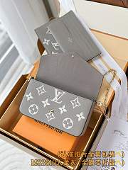 Colestore Louis Vuitton Félicie Pochette ‘Gray Tourterelle’ 21 x 12 x 3cm - 5