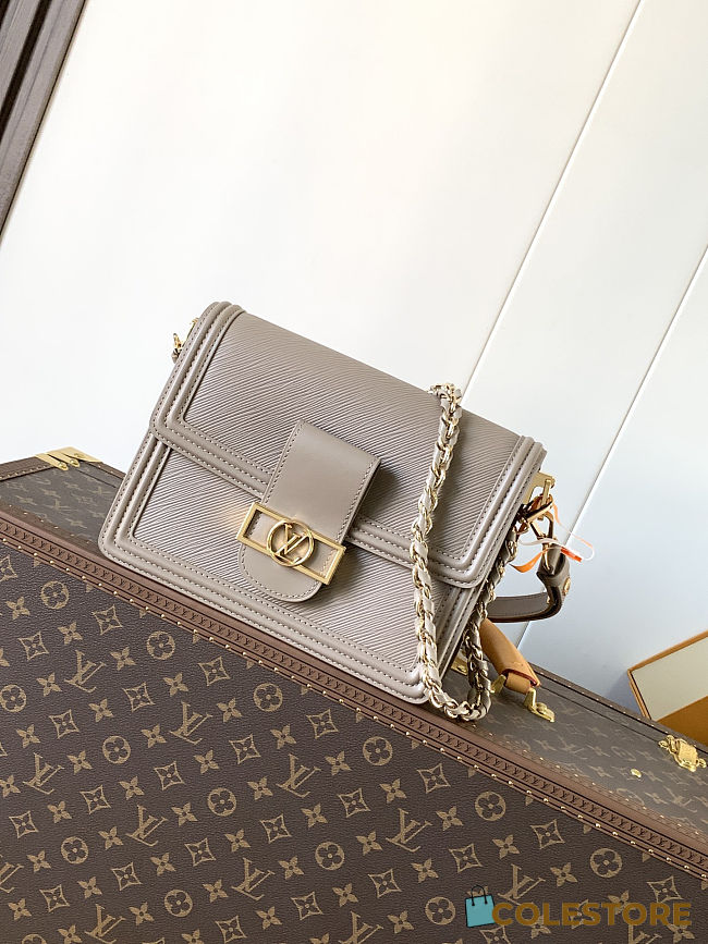 Colestore Louis Vuitton Dauphine MM in Gray Epi 25 x 17 x 10.5cm - 1