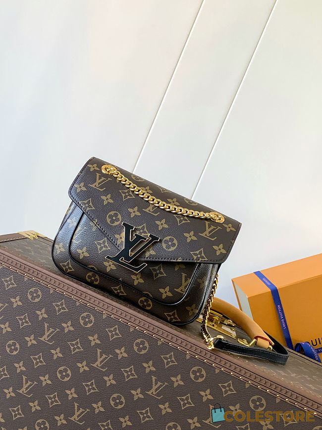 Colestore Louis Vuitton Passy 22 x 17x 10cm - 1