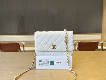 Colestore Chanel Woc Lamskin White Pearl on Chain 19x12x3.5cm