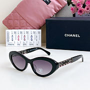 Colestore Chanel Cat Eye Sunglasses 55-19-140cm - 4