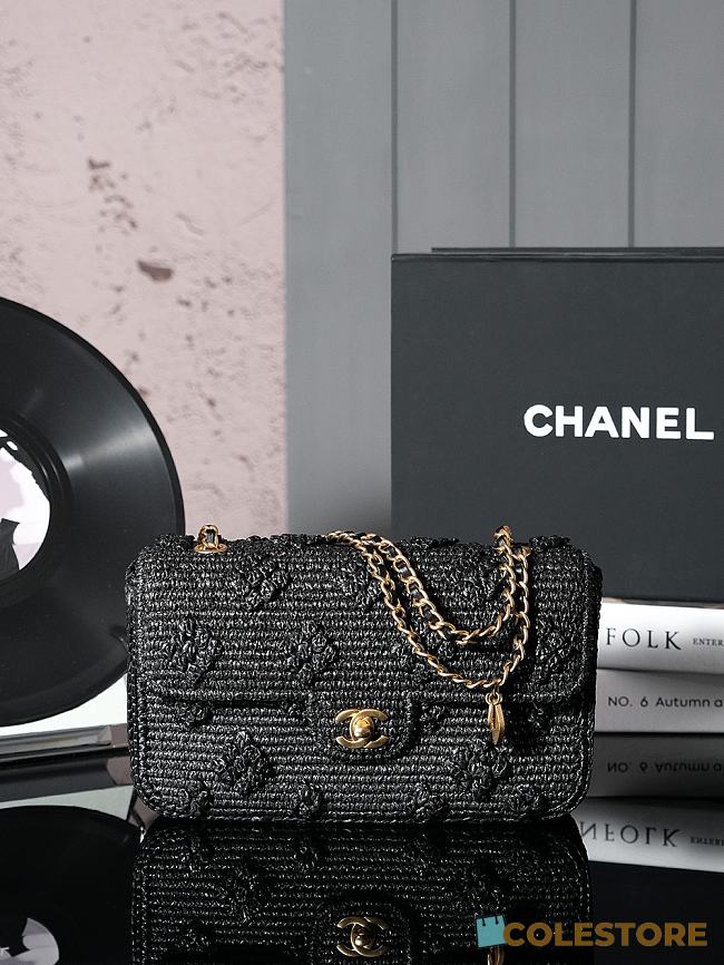 Colestore Chanel Dolce Raffia Woven Medium Flap Bag 15.5x25x6cm - 1