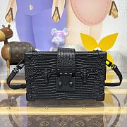 Colestore Louis Vuitton Petite Malle Lizard Black 20x6x12.5cm - 5