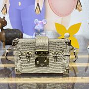 Colestore Louis Vuitton Petite Malle Lizard Gold 20x6x12.5cm - 1