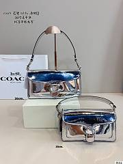 Colestore Coach Metallic Tabby 20 20x6x11cm - 1