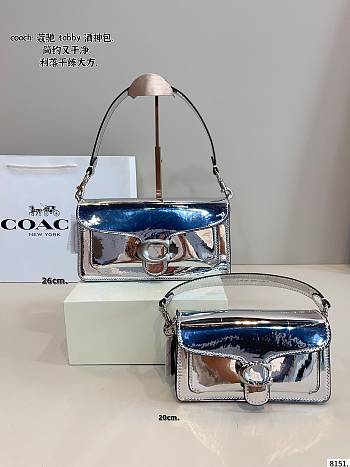 Colestore Coach Metallic Tabby 20 20x6x11cm