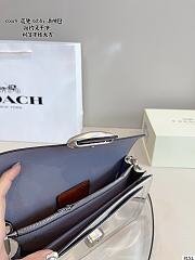 Colestore Coach Metallic Tabby 20 20x6x11cm - 6