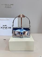 Colestore Coach Metallic Tabby 20 20x6x11cm - 5