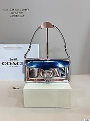 Colestore Coach Metallic Tabby 20 20x6x11cm - 4