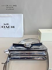 Colestore Coach Metallic Tabby 20 20x6x11cm - 2