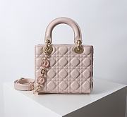 Chanel Dior Lady Dior Small Light Pink Lambskin Bag with Tortoiseshell Charms 20 x 17 x 8cm - 6