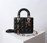 Chanel Dior Lady Dior Small Light Black Lambskin Bag with Tortoiseshell Charms 20 x 17 x 8cm - 1