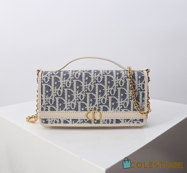 Colestore Dior 30 Montaigne Cigale Pouch with Chain Blue Dior Oblique 20.5×11×5cm - 1