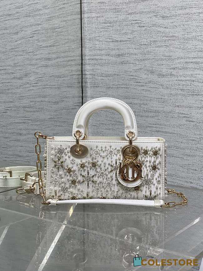 Colestore Dior Lady Dior Micro Bag in White Embroidered Canva 16.5cm - 1
