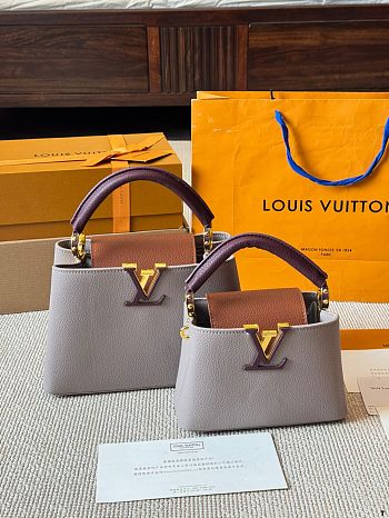 Colestore Louis Vuitton Capucine BB Taurillon Gray Size 27x18x9 cm