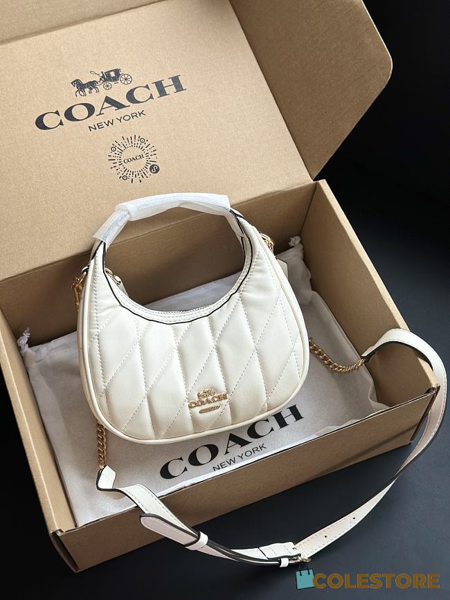 Colestore Coach Carmen Mini Crossbody Bag 19x10x6cm - 1