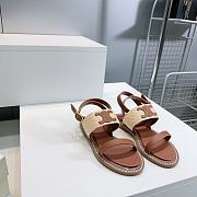 Colestore Celine Triomphe Raffia and Calfskin Flat Sandals Brown - 4