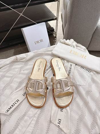 Colestore Dior D-Club Slide Gold Calfskin 