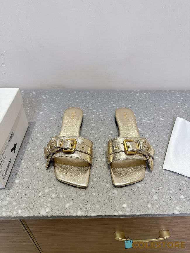 Colestore Chloé Mae Slide Gold - 1