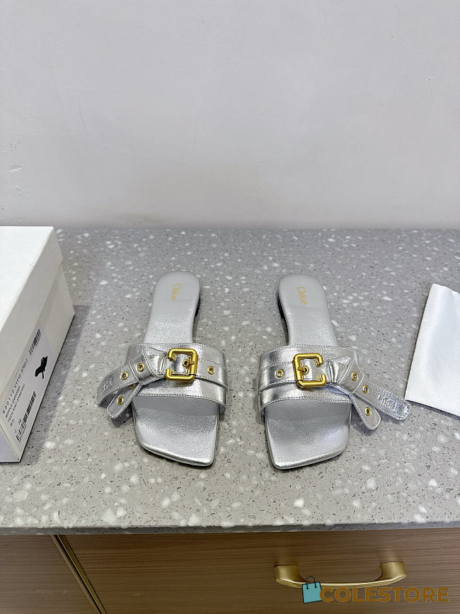 Colestore Chloé Mae Slide Silver - 1