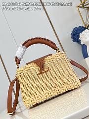Colestore Louis Vuitton Capucines Mini Rattan and Cowhide Tan 21x13.6x8cm - 1