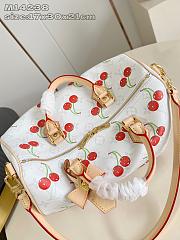 Colestore Louis Vuitton LV x TM Speedy Soft Bandoulière 30 17 x 30 x 21cm - 3