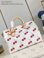 Colestore Louis Vuitton LV x TM Speedy Soft Bandoulière 30 17 x 30 x 21cm - 2