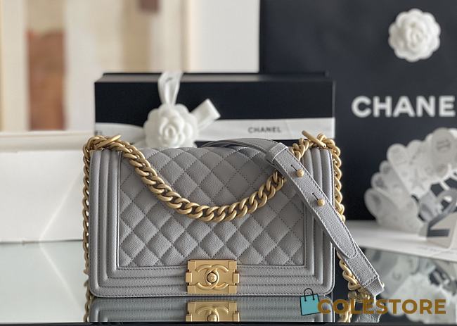 Colestore Chanel Le Boy Bolsa Med Boy Gray Caviar 25x15x9cm - 1