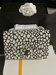 Colestore Chanel 25S 