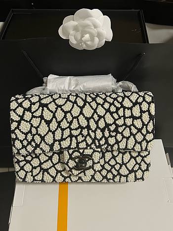 Colestore Chanel 25S 