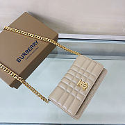 Colestore Burberry Lola Clutch 'Oat Beige' 20x5x12cm - 5